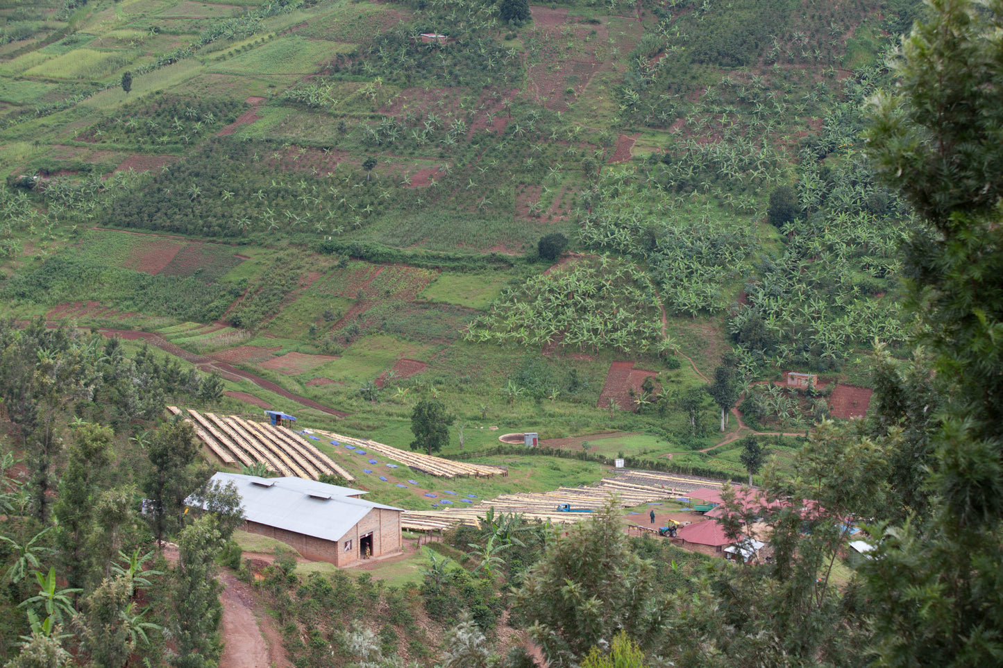 Bwenda