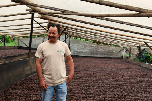 Alexander Vargas | Natural Pink Bourbon - Coffee Embassy