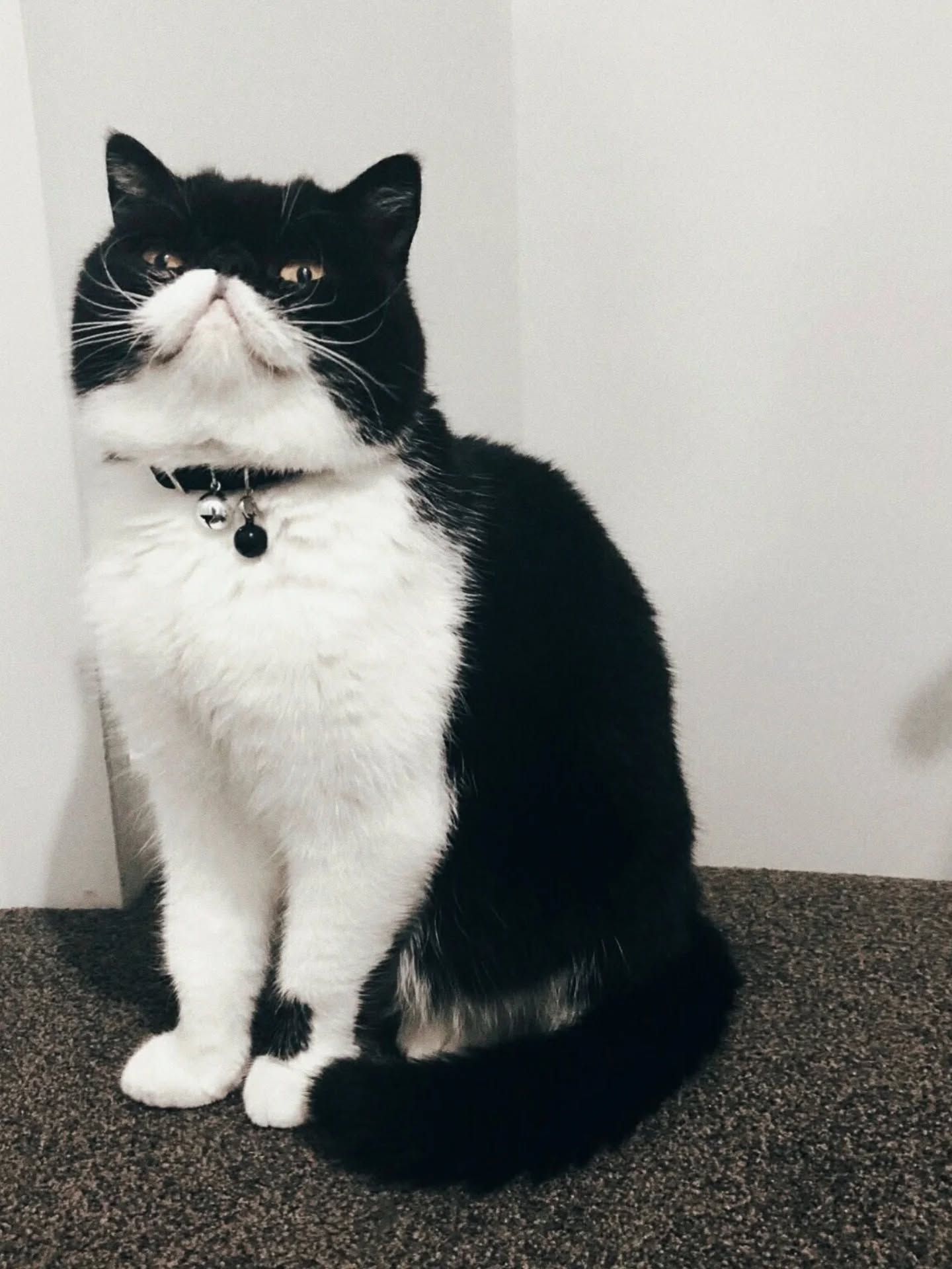 Bruce Diner Mug - Coffee Embassy