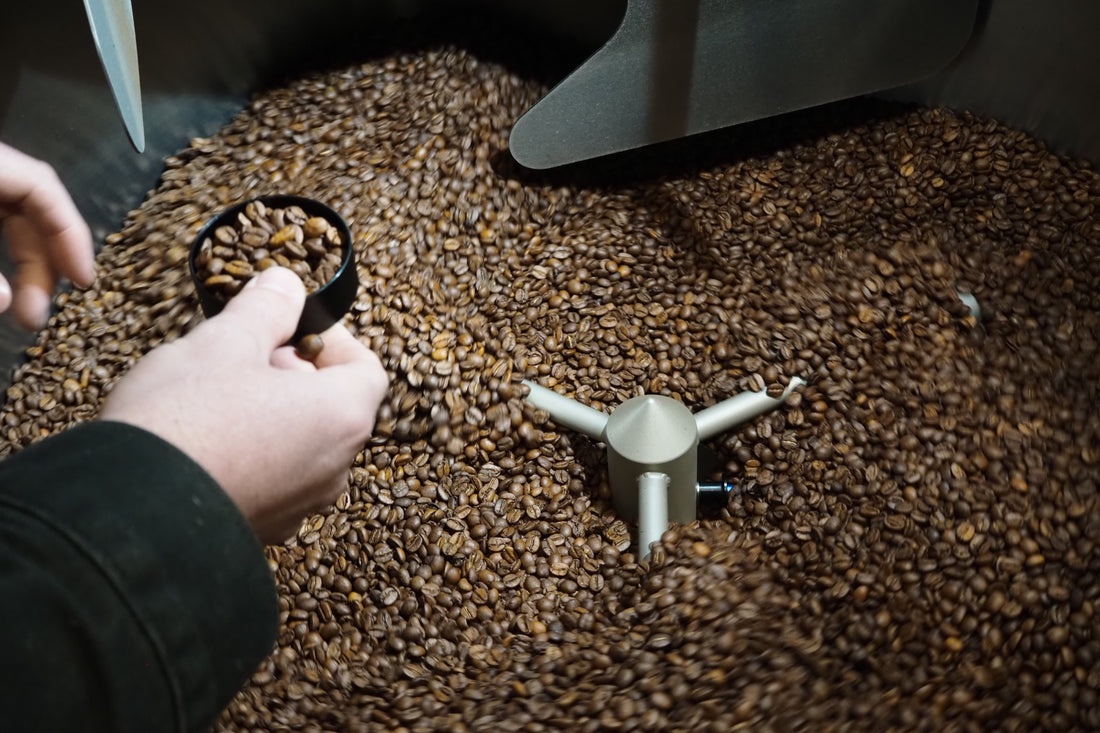 Can coffee be too fresh?