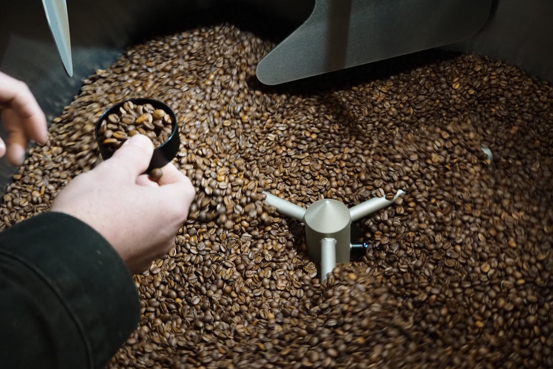 Can coffee be too fresh? - Coffee Embassy