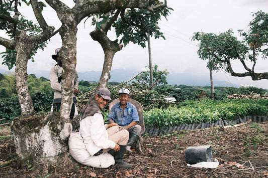 Evolving With Purpose - Coffee Embassy