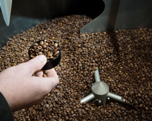 Workshop | Discover Coffee Roasting