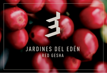 Jardines Del Edén | Natural Red Gesha