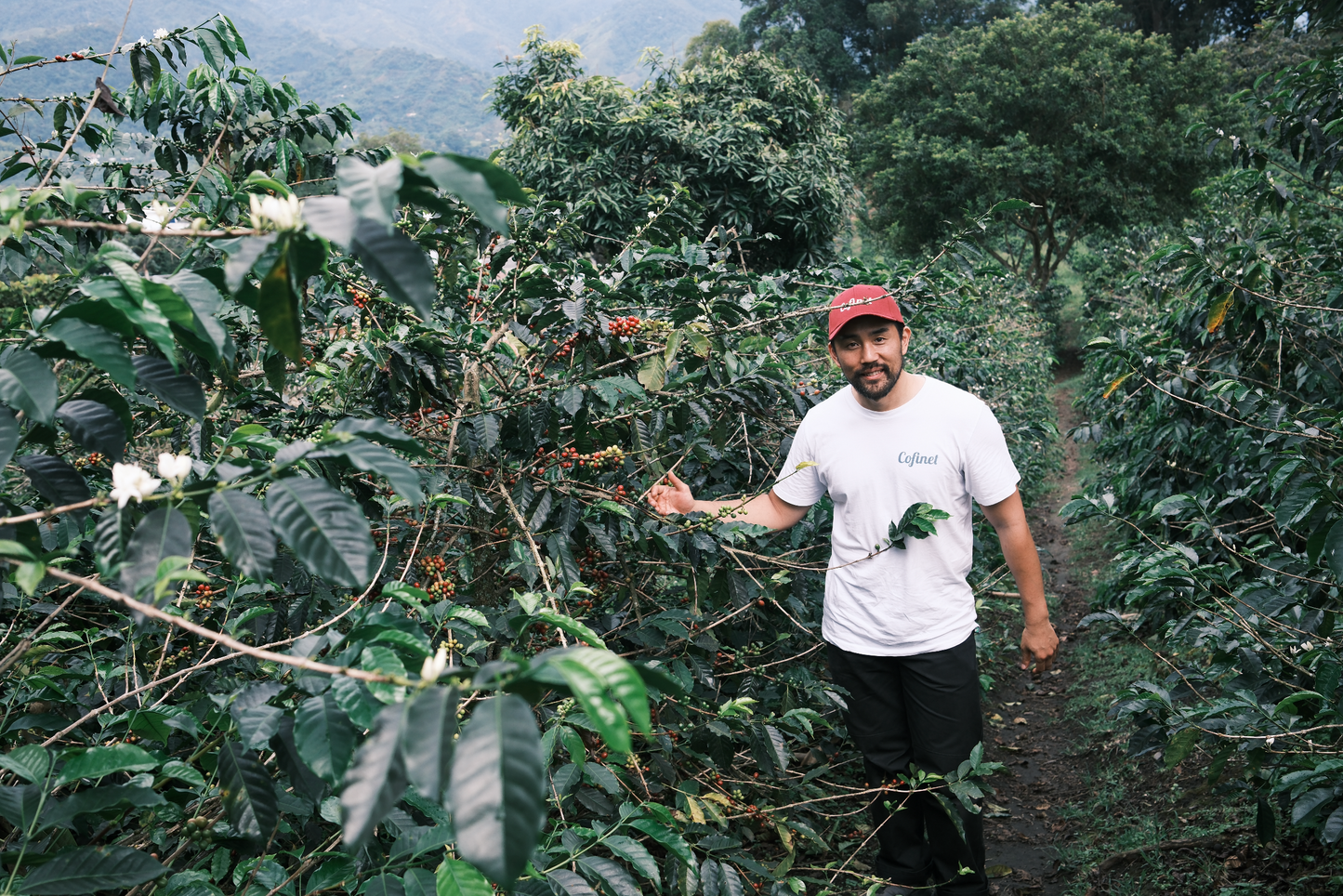 Sebastian Gomez | Natural Gesha