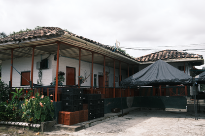 PREORDER: Jairo Arcila | Natural Sidra
