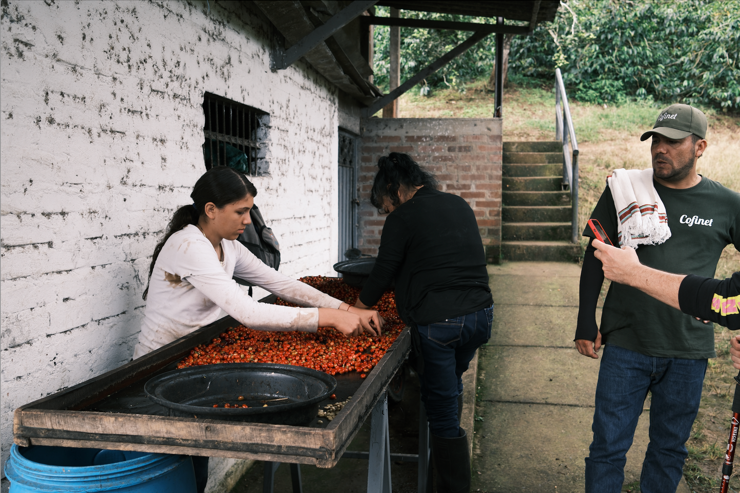 Jardines Del Edén | Natural Red Gesha