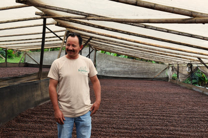 Alexander Vargas | Natural Pink Bourbon - Coffee Embassy