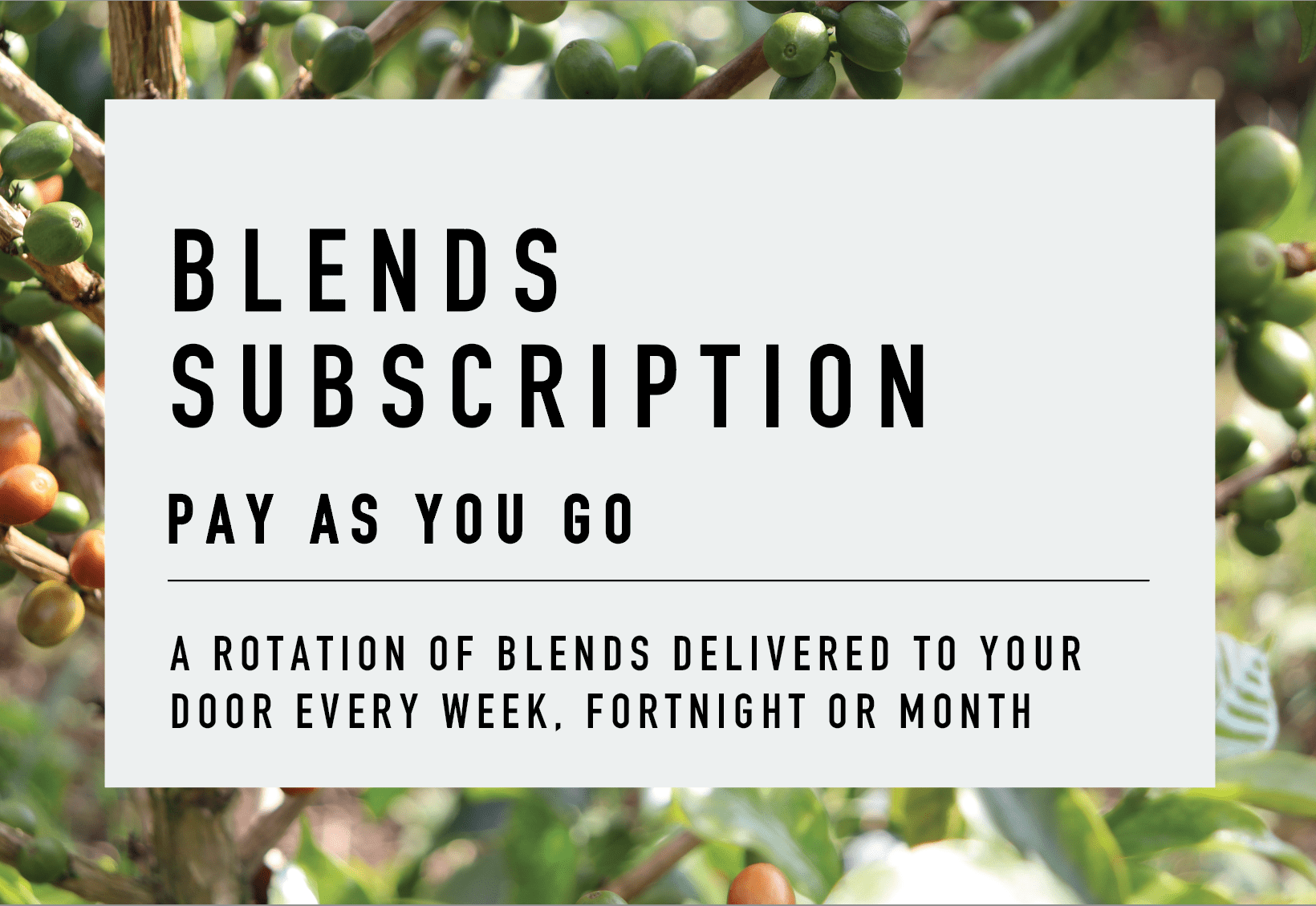 Blends Rotating Subscription - Coffee Embassy