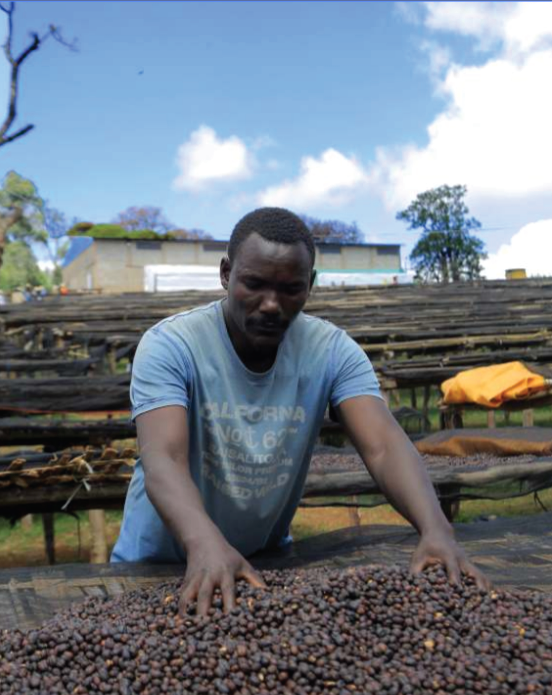 Buku Sayisa | Single Origin Espresso