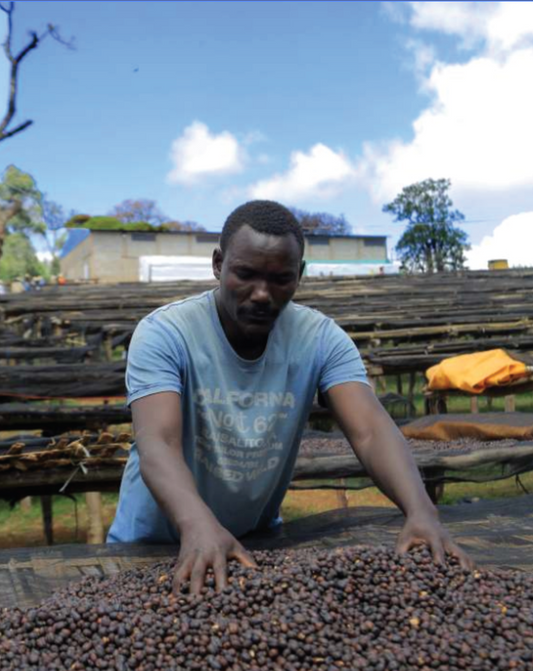 Buku Sayisa | Single Origin Espresso