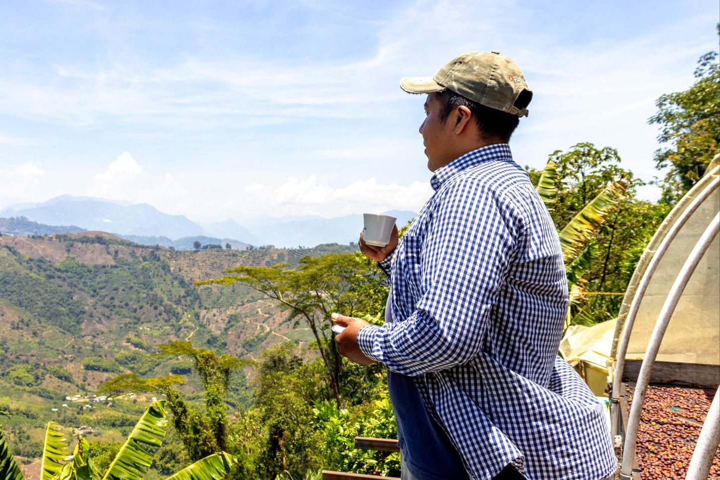 Cesar Buesaquillo | Natural Chiroso - Coffee Embassy