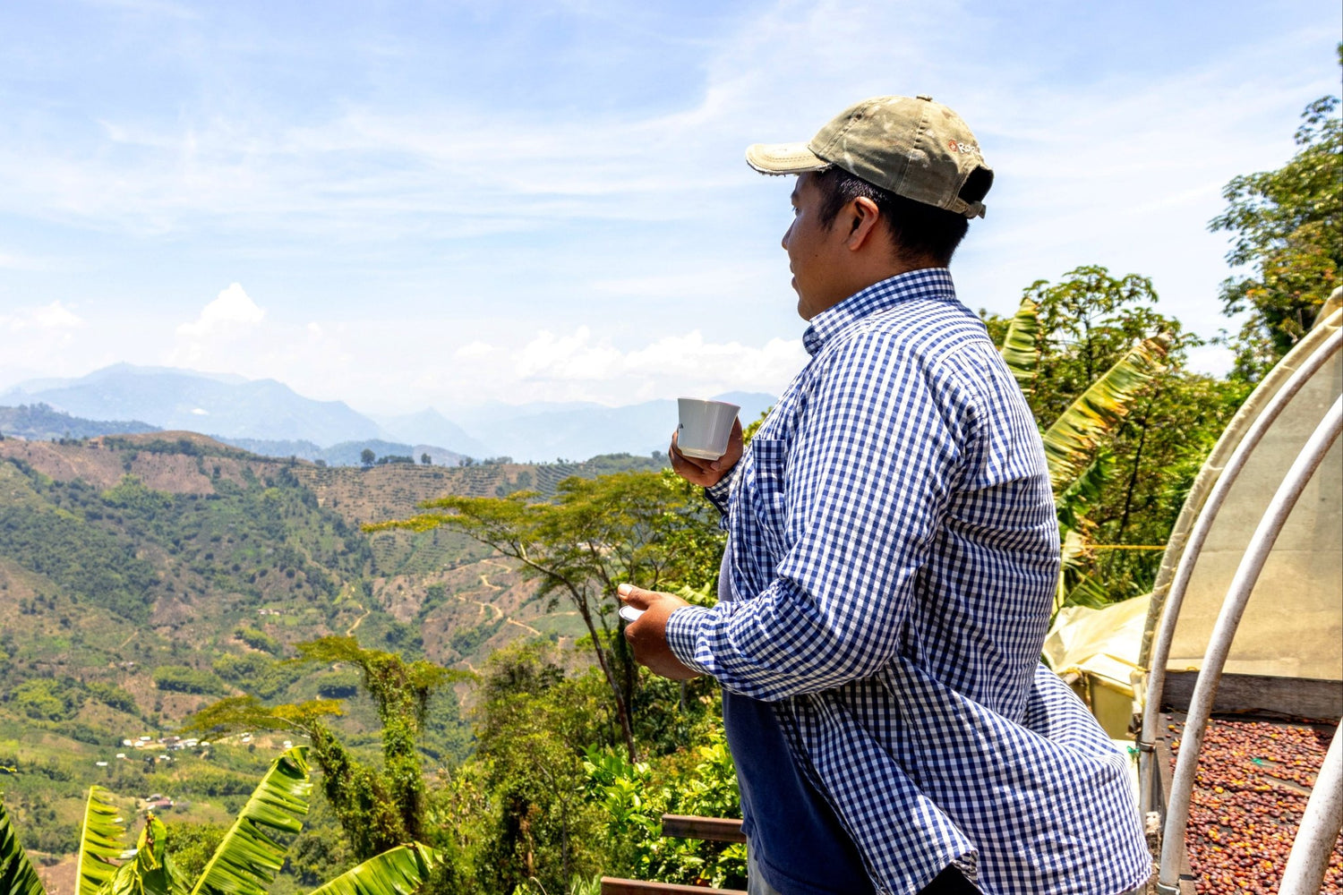 Cesar Buesaquillo | Natural Chiroso - Coffee Embassy