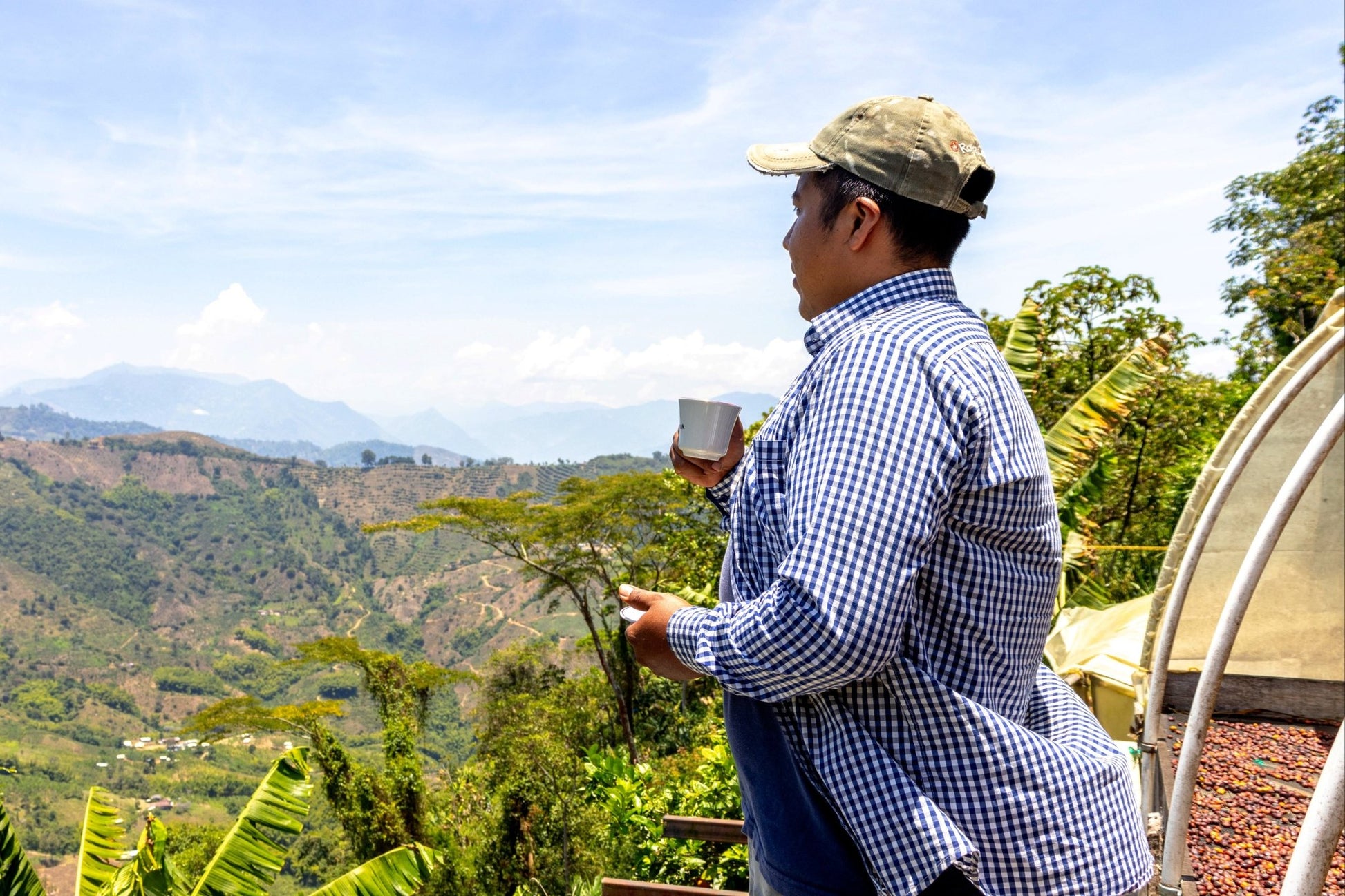 Cesar Buesaquillo | Natural Chiroso - Coffee Embassy