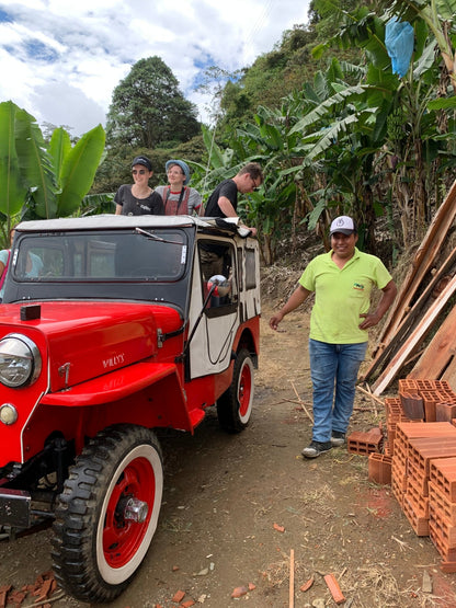 Cesar Buesaquillo | Natural Pink Bourbon - Coffee Embassy