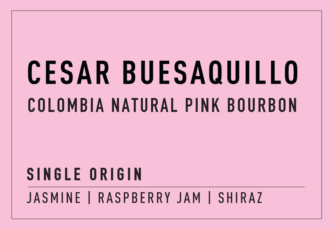Cesar Buesaquillo | Natural Pink Bourbon - Coffee Embassy