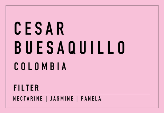 Cesar Buesaquillo