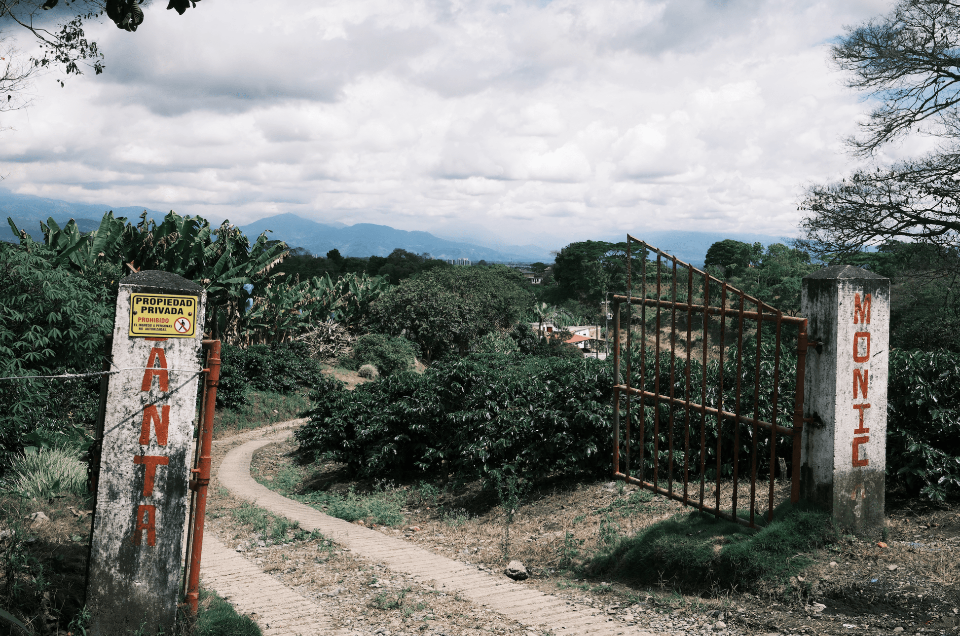 Jairo Arcila - Coffee Embassy