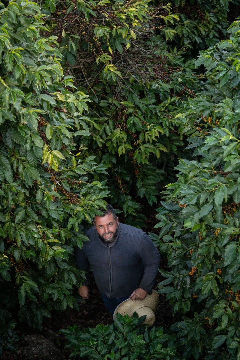 João Hamilton | Natural Brazil - Coffee Embassy