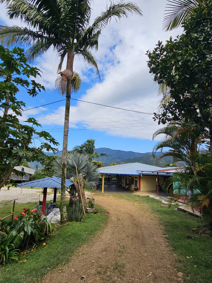 John Wilmer | Natural Pacamara - Coffee Embassy