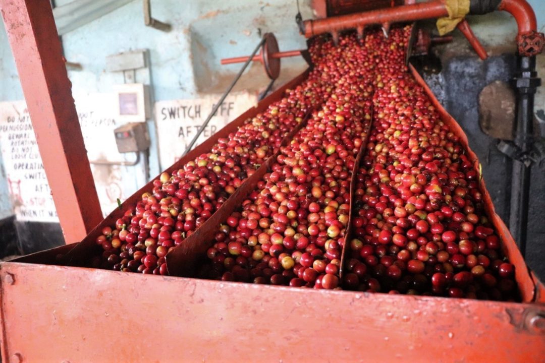 Kaliluni AA