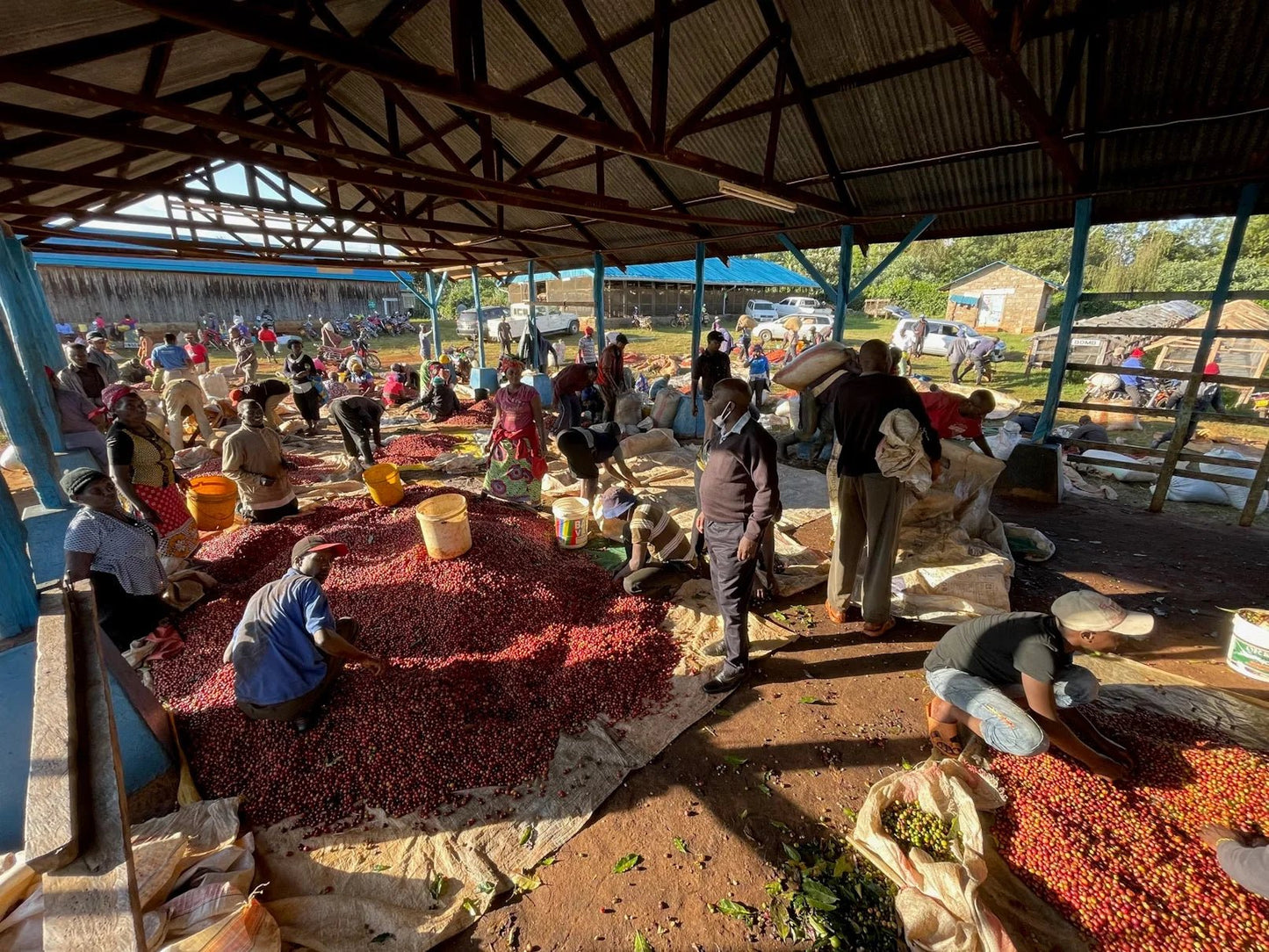 Karimikui AA | Kenya Washed - Coffee Embassy