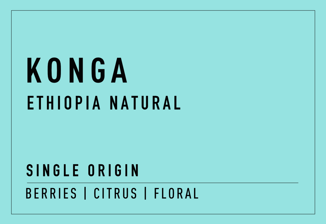 Konga | Ethiopia Natural