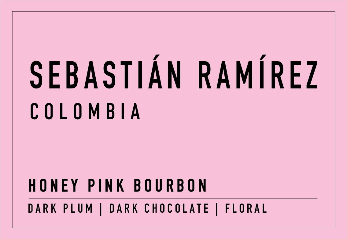 Sebastián Ramírez | Honey Pink Bourbon - Coffee Embassy