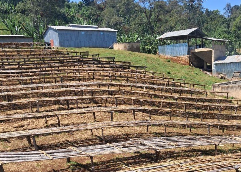 Urabeast - Coffee Embassy